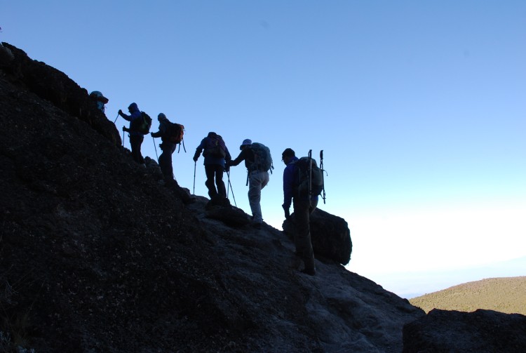 【定制】非洲之巅--乞力马扎罗登山12天·登顶赤道雪山+野生动物Safari