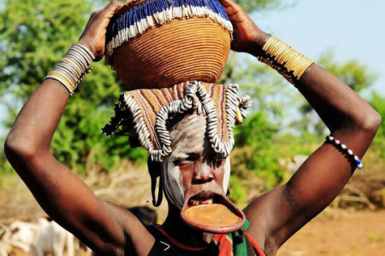 【定制】埃塞俄比亚 肯尼亚 坦桑尼亚16天摄影天堂之旅·动物大迁徙+原始部落探秘